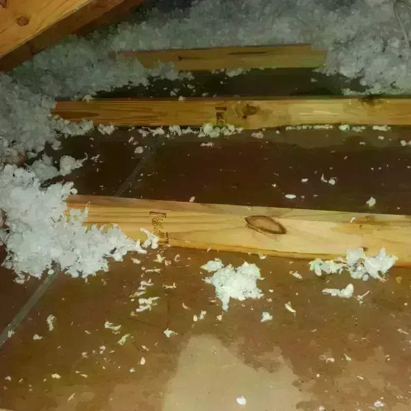 Attic Water Damage in Eastvale, CA